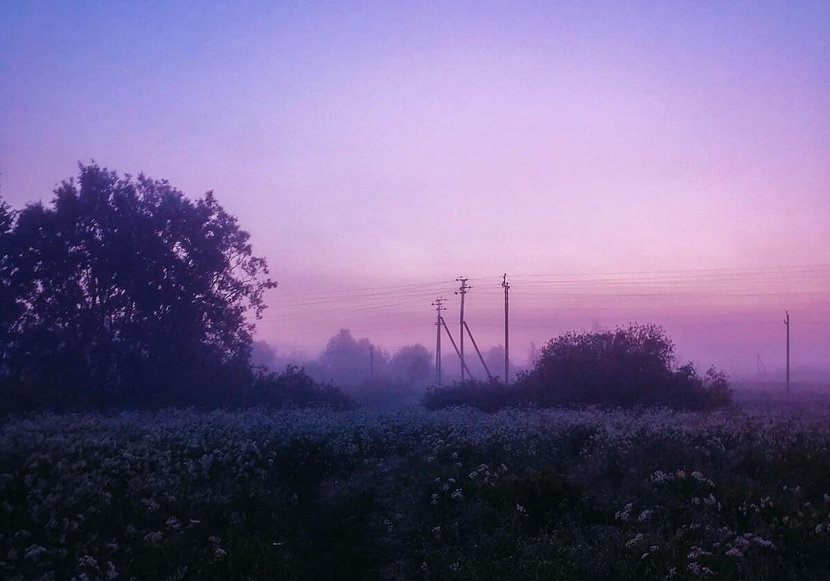 开云体育：让运动成为自我表达的语言